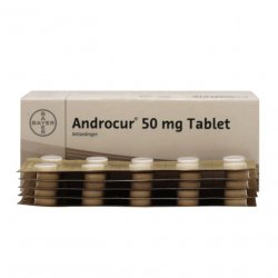 Андрокур (Ципротерон) таблетки 50мг №50 в Краснодаре и области фото